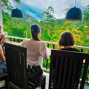 Daddy's Guest Bed & Breakfast Nallathanniya
